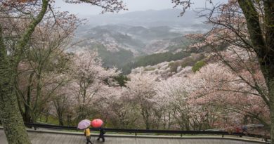 Voyage à Nara au Japon