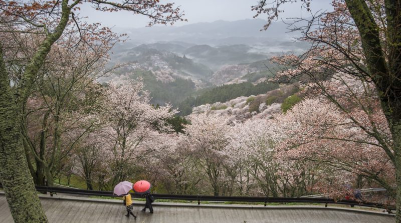 Voyage à Nara au Japon