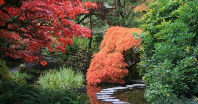 créer jardin japonais