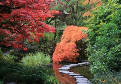 créer jardin japonais