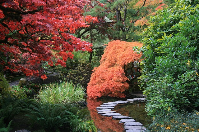 créer jardin japonais
