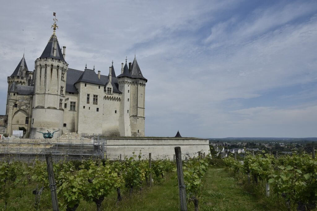 vignoble loire saumur